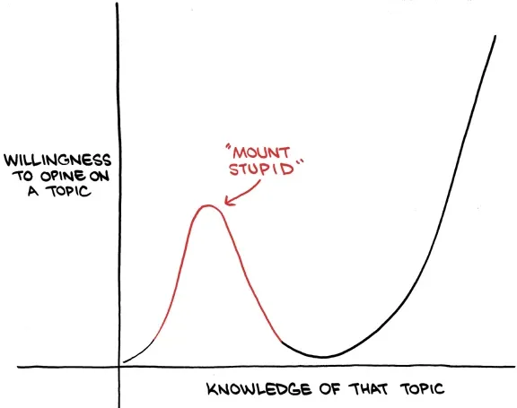 ウェブ漫画の Mount Stupid
